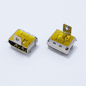 DP200 With Flange